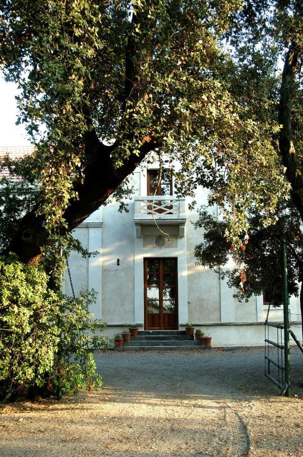Casa Vina De Alcantara Jerez de la Frontera Kültér fotó